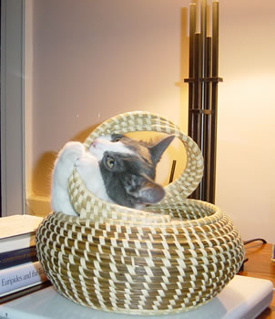 MASTAH OV TEH BASKIT FLOOT